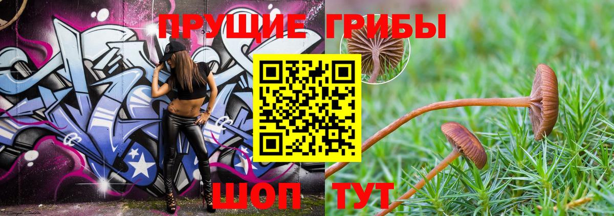 Псилоцибиновые грибы прущие грибы Тавда