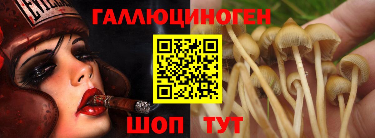 Тавда  Галлюциногенные грибы Magic Shrooms  Вход с VPN  Галлюциногенные грибы GOLDEN TEACHER 