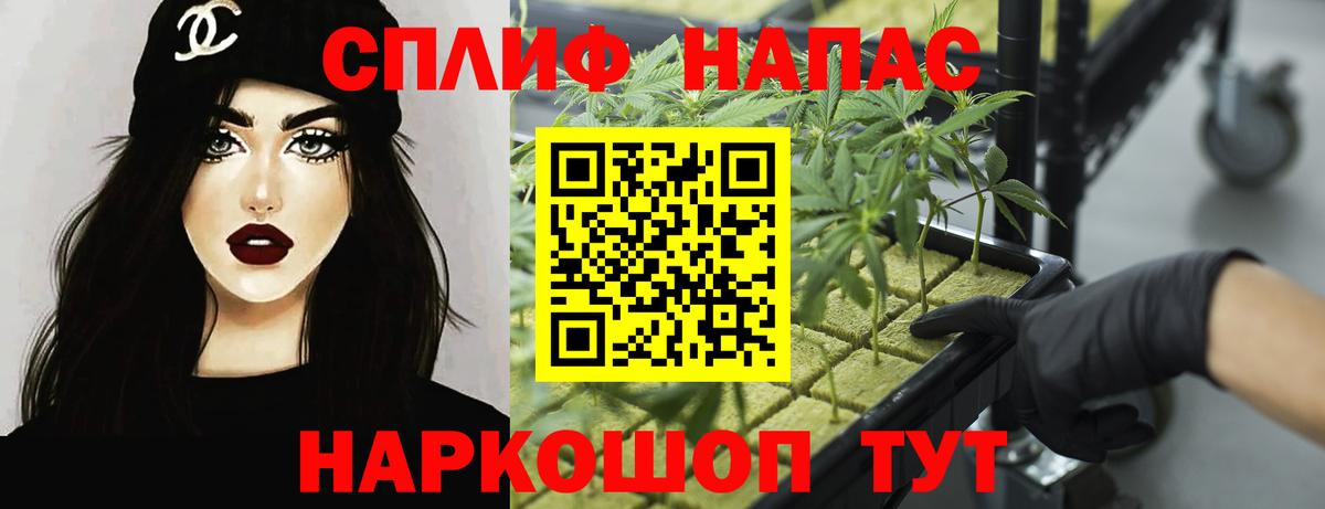 Бошки марихуана ГИДРОПОН  Тавда  Бошки марихуана семена  Бошки Шишки OG Kush 